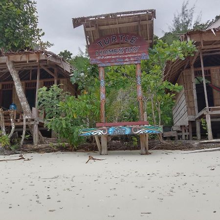 Turtle Dive Homestay Kri Esterno foto