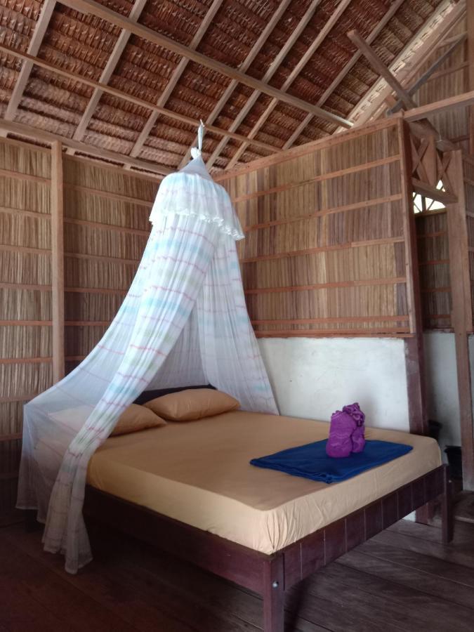 Turtle Dive Homestay Kri Esterno foto