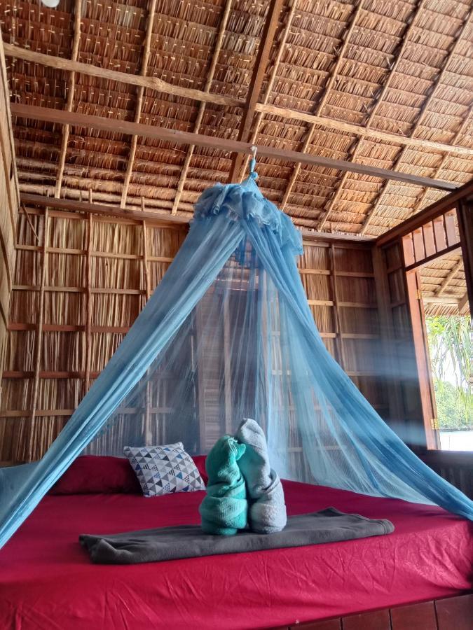 Turtle Dive Homestay Kri Esterno foto