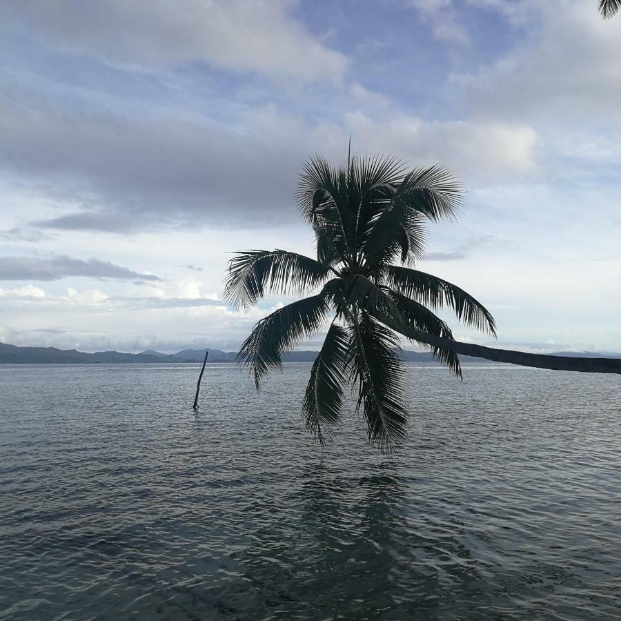 Turtle Dive Homestay Kri Esterno foto