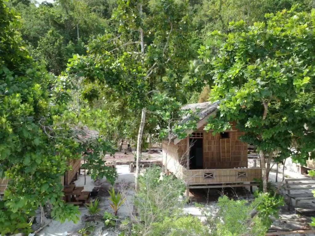 Turtle Dive Homestay Kri Esterno foto