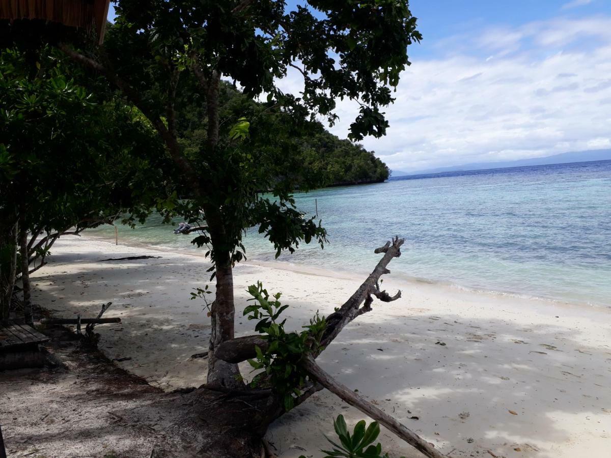 Turtle Dive Homestay Kri Esterno foto