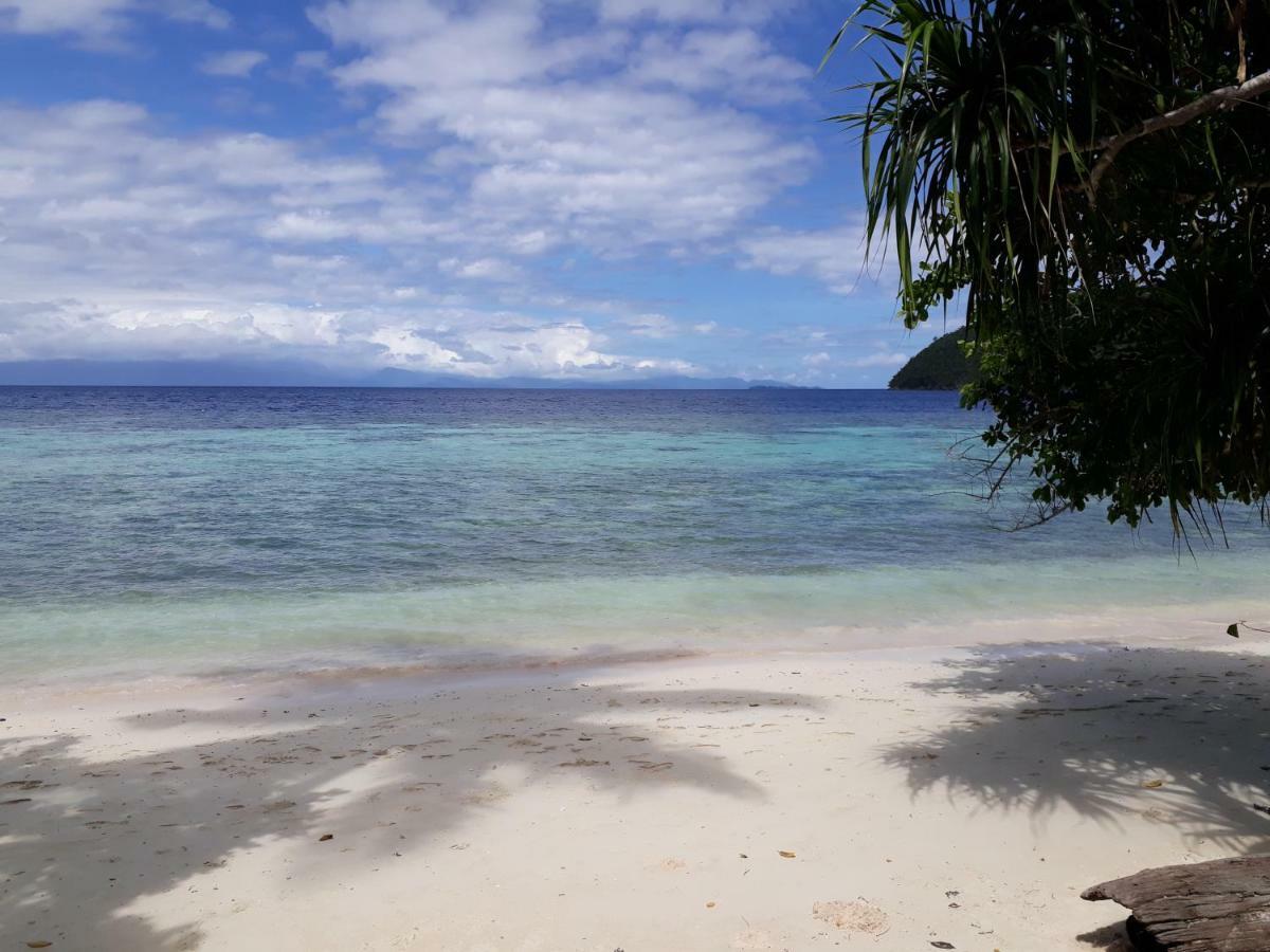 Turtle Dive Homestay Kri Esterno foto