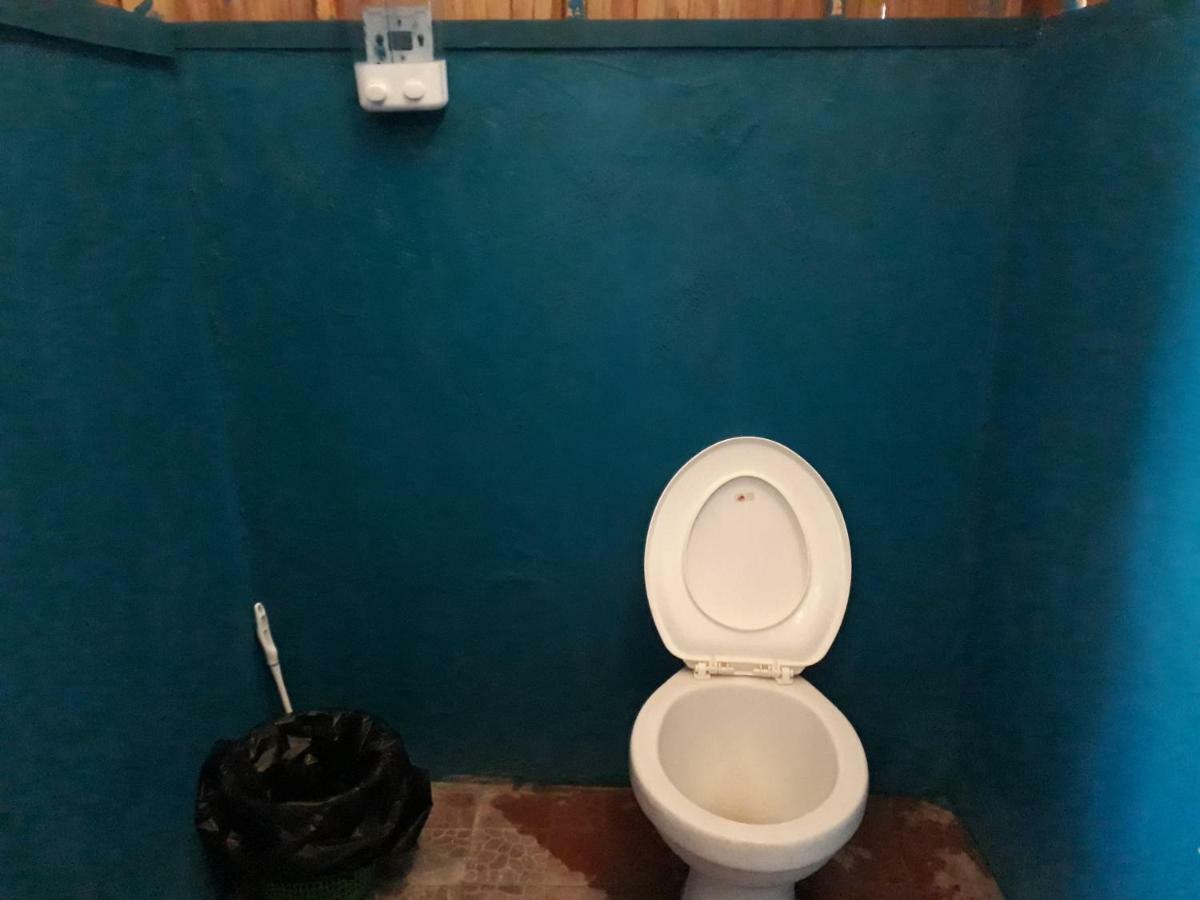 Turtle Dive Homestay Kri Esterno foto